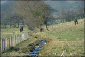Offa's Dyke path
